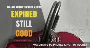 Is Expired Rabies Vaccine Still Effective After Six Months?
