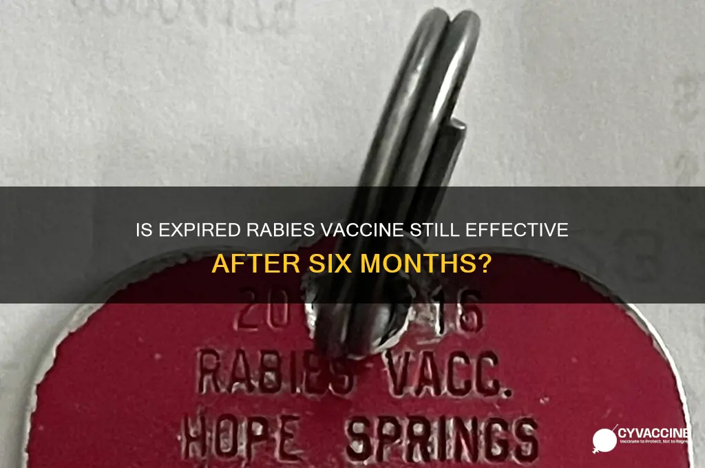 is rabies vaccine that is six months expired still good