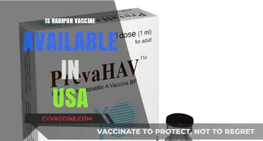 Rabipur Vaccine Availability in the USA: What You Need to Know