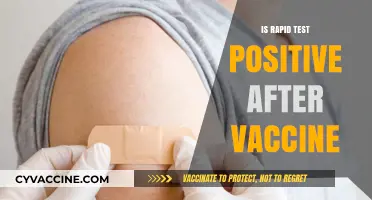 Post-Vaccine Rapid Test Positivity: What You Need to Know