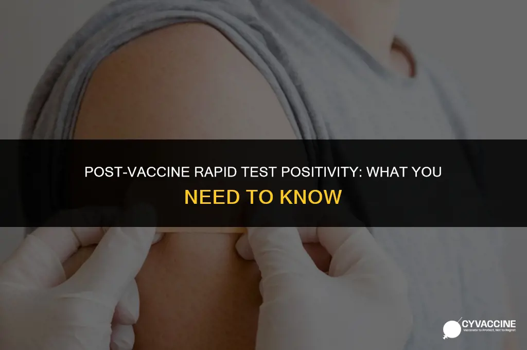 is rapid test positive after vaccine