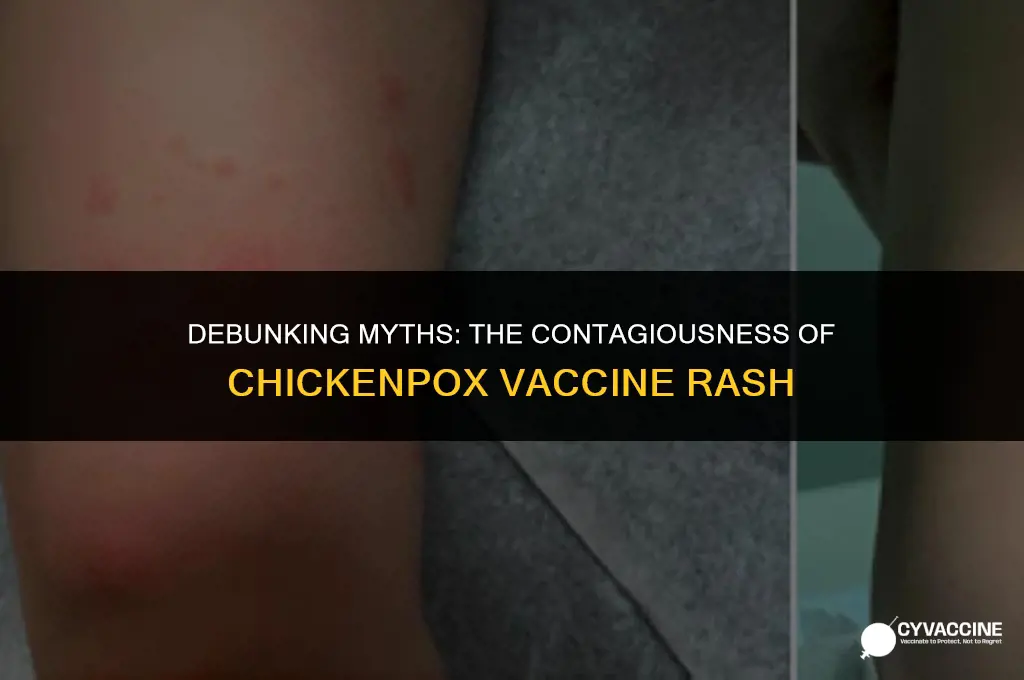 is rash after chickenpox vaccine contagious