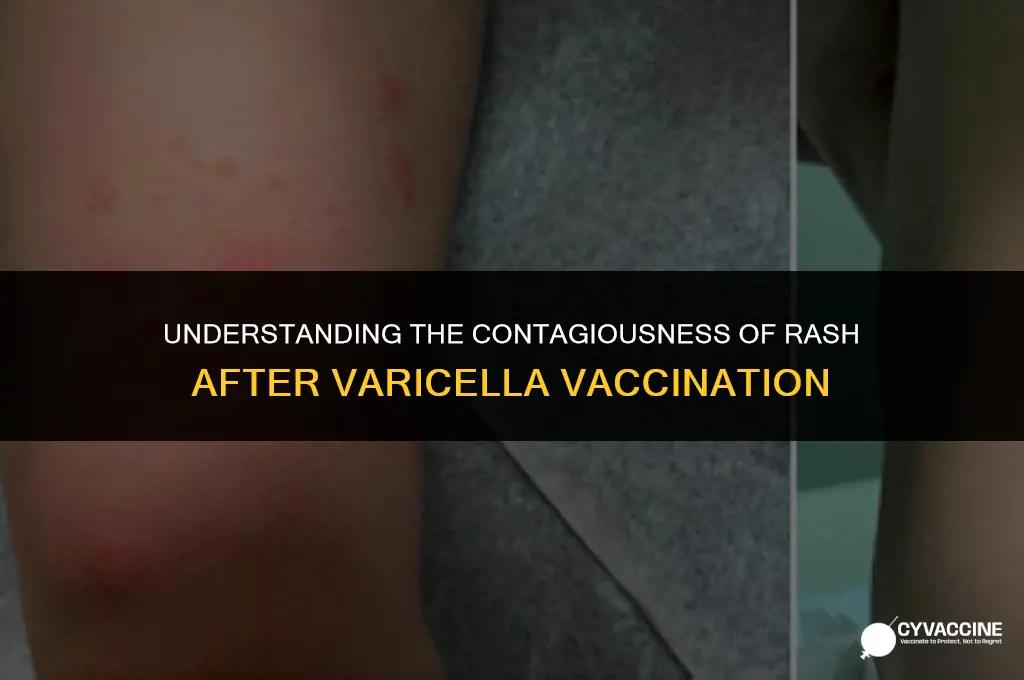 is rash after varicella vaccine contagious