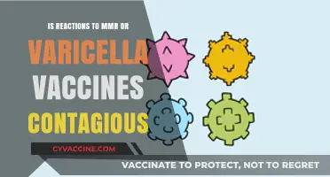 Are Vaccine Reactions Contagious? MMR and Varicella Myths Debunked