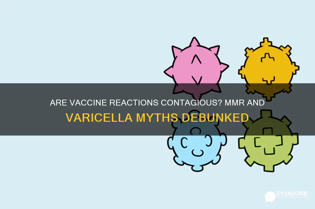 is reactions to mmr or varicella vaccines contagious