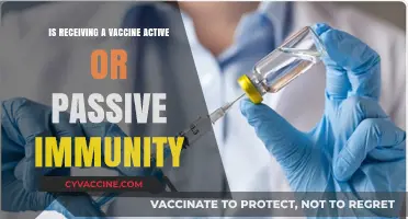 Vaccines: Active or Passive Immunity? Understanding Your Body's Defense