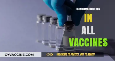 Unraveling the Myths: Recombinant DNA in Modern Vaccines