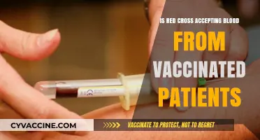 Vaccinated Donors: Red Cross Blood Donation Policies Explained