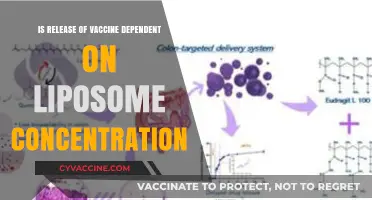 Does Liposome Concentration Influence Vaccine Release Efficiency?