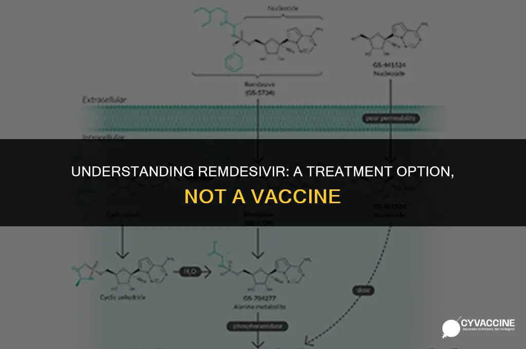 is remdesivir a drug or vaccine