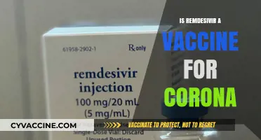 Exploring Remdesivir: A Treatment, Not a Vaccine, for COVID-19