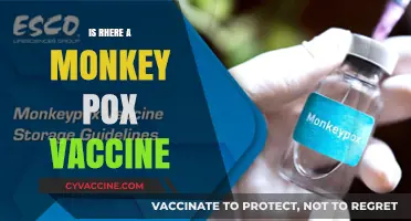 Combatting Monkeypox: The Latest on Vaccine Availability and Efficacy