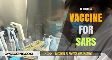 Exploring the Latest on SARS Vaccines: Facts and Updates