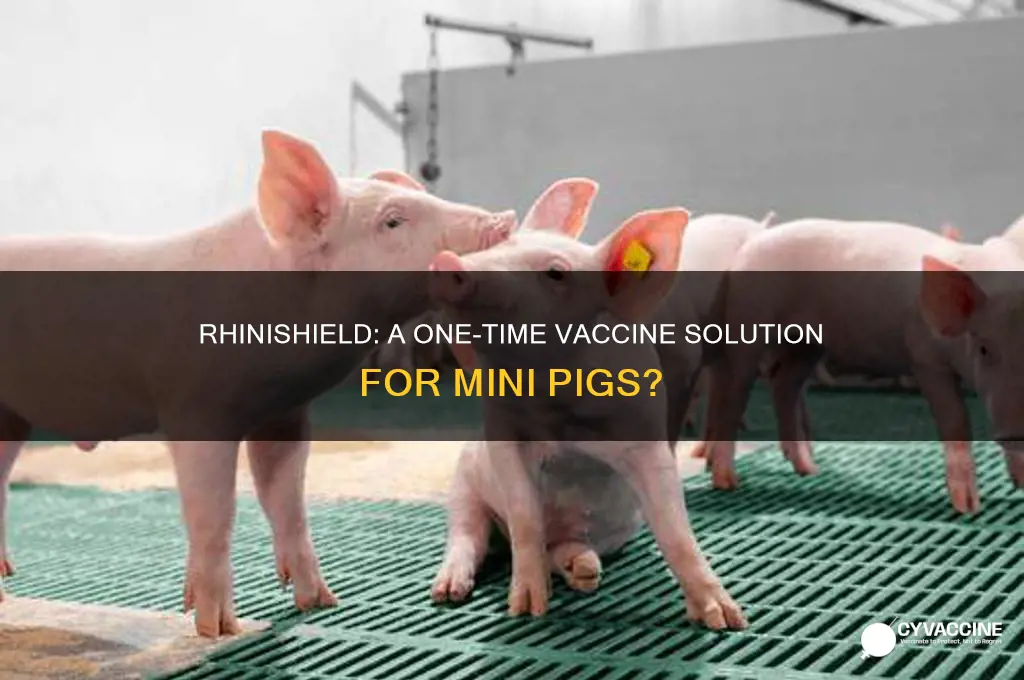 is rhinishield a one time vaccine for mini pigs