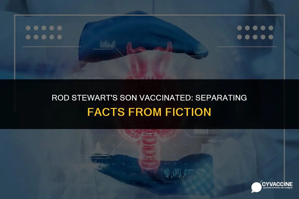 is rod stewart