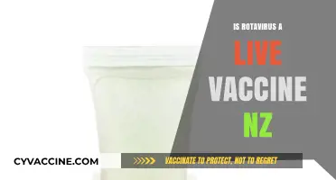 Understanding Rotavirus Vaccination in New Zealand: A Comprehensive Guide