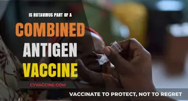 Rotavirus Inclusion in Combined Antigen Vaccines: What You Need to Know