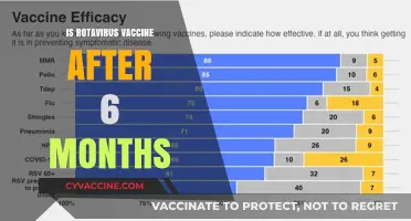 Rotavirus Vaccine: Is It Effective After 6 Months?