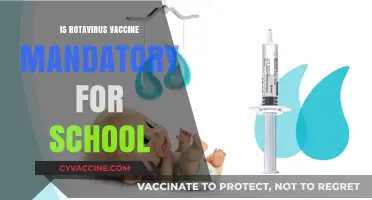 Rotavirus Vaccine: A Mandatory Requirement for School Entry?