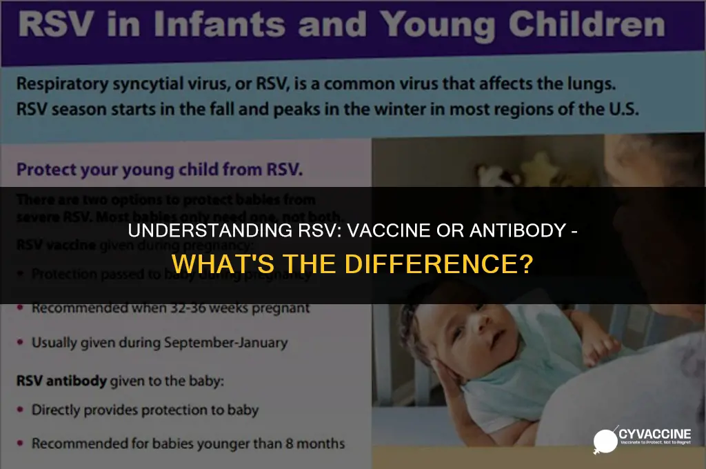 is rsv a vaccine or antibody