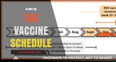 Understanding RSV: Is It Part of the Vaccine Schedule?