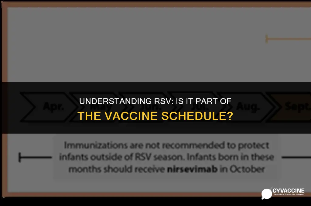 is rsv on the vaccine schedule