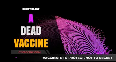 Debunking Myths: The RSV Vaccine's Efficacy and Safety