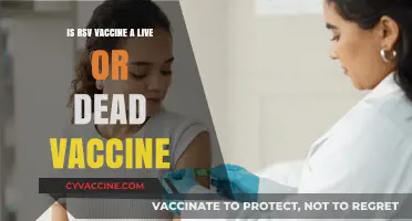 RSV Vaccine: Live or Dead? Understanding Its Composition and Safety