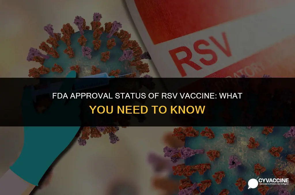 is rsv vaccine approved by fda