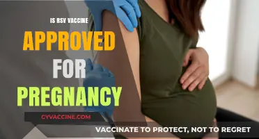 RSV Vaccine and Pregnancy: What You Need to Know