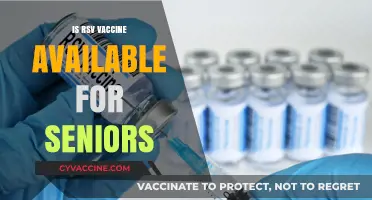 Protecting Our Elders: The RSV Vaccine for Seniors - What You Need to Know