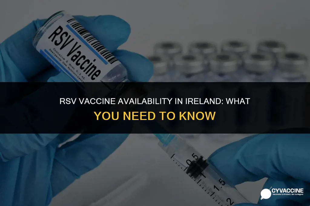 is rsv vaccine available in ireland