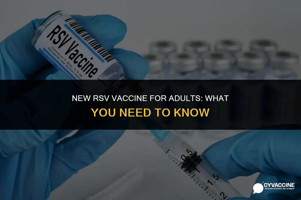 is rsv vaccine for adults new