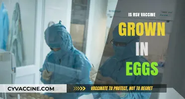 RSV Vaccine: The Truth About Egg-Based Production