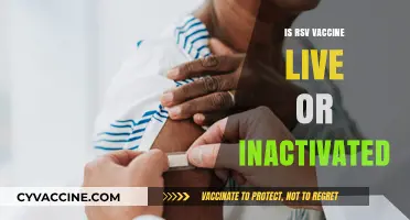 RSV Vaccine: Live or Inactivated? Understanding the Key Differences