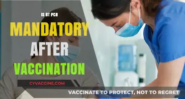 Post-Vaccination Testing: Is RT-PCR Still Necessary?