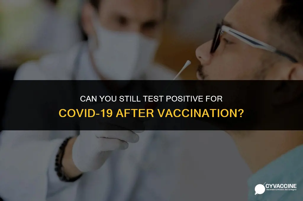 is rt pcr positive after vaccination
