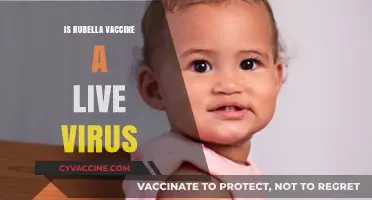 Is Rubella Vaccine Live Virus? Understanding Its Composition and Safety