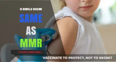 Rubella Vaccine vs. MMR: Understanding the Key Differences
