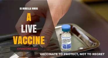 Understanding Rubella: The Facts About Live Vaccines
