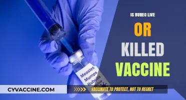Decoding the Fate of Rubeo: Live or Killed Vaccine?