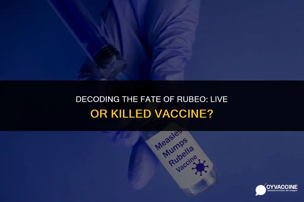 is rubeo live or killed vaccine