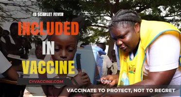 Exploring Scarlet Fever: Vaccine Inclusion and Public Health Impact