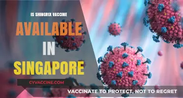 Shingrix Vaccine Availability in Singapore: What You Need to Know