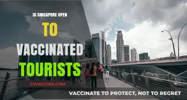 Exploring Singapore: A Guide for Vaccinated Tourists
