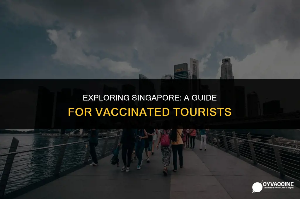 is singapore open to vaccinated tourists