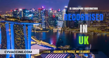 Singapore's Vaccination Status: Recognition in the UK Explained