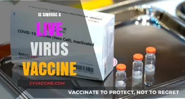 Understanding Sinovac: Is It a Live Virus Vaccine?