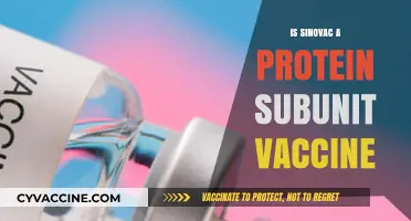 Understanding Sinovac: Is It a Protein Subunit Vaccine?