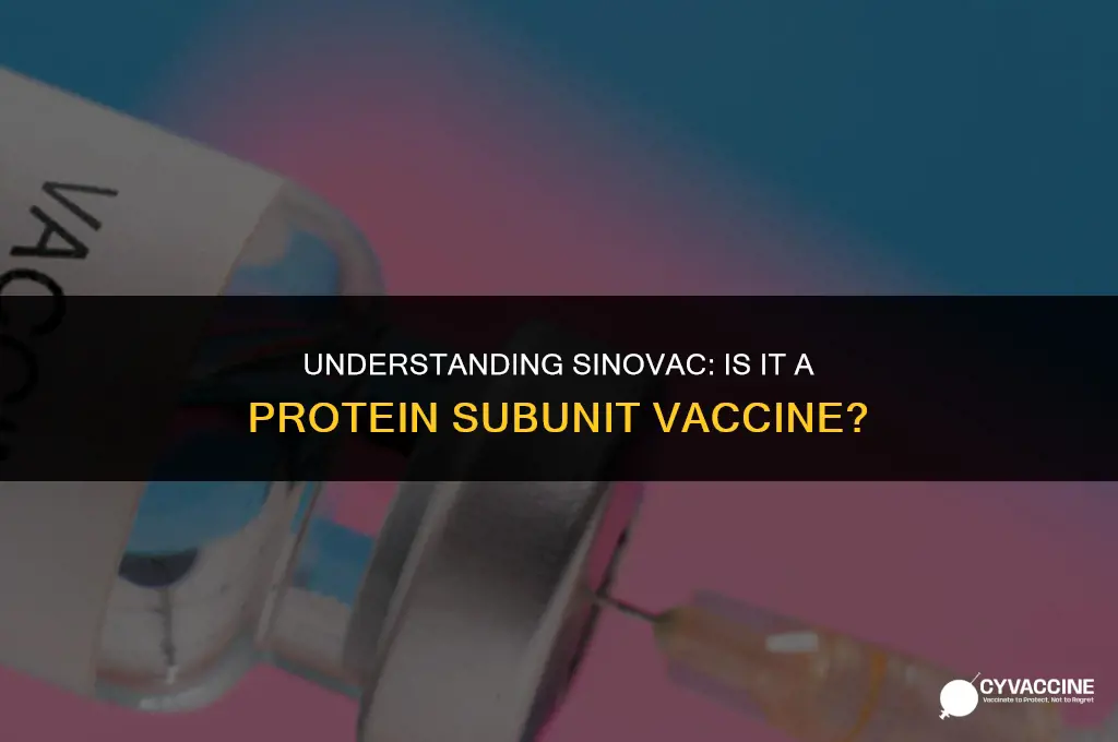 is sinovac a protein subunit vaccine